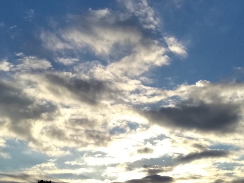 f:id:yumi-fields:20180113183805j:image f:id:yumi-fields:20180113183805j:image