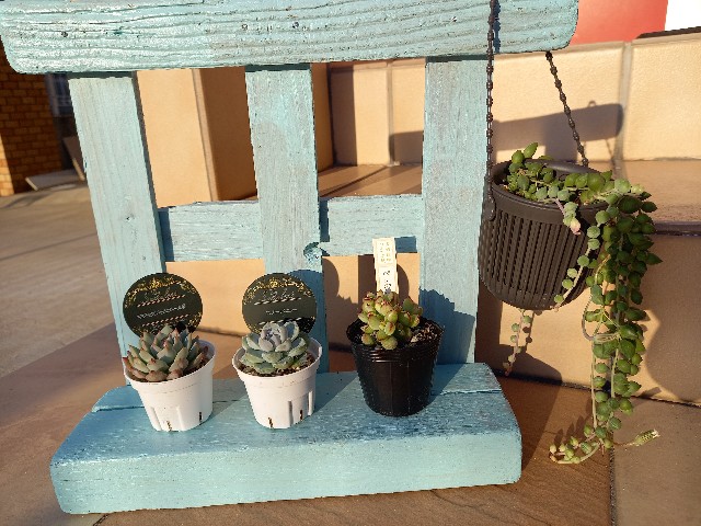 f:id:yumi-haresuki:20220131204959j:image f:id:yumi-haresuki:20220131204959j:image