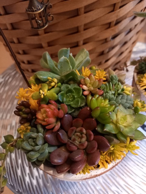 f:id:yumi-haresuki:20220216210244j:image f:id:yumi-haresuki:20220216210244j:image