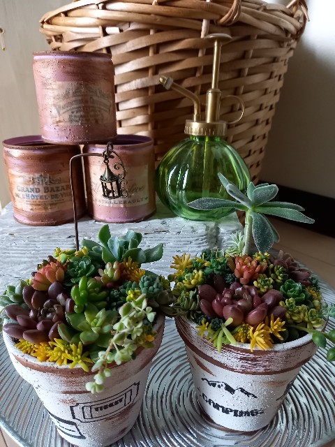 f:id:yumi-haresuki:20220216210347j:image f:id:yumi-haresuki:20220216210347j:image