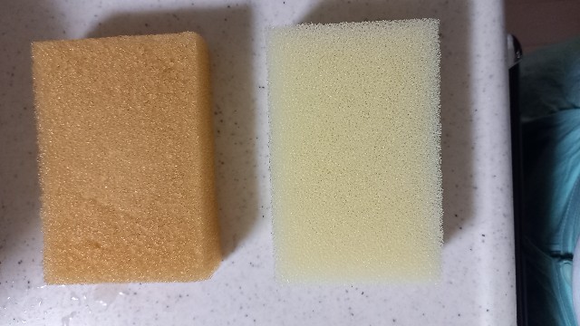 f:id:yumi-haresuki:20220801070757j:image f:id:yumi-haresuki:20220801070757j:image