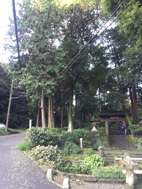 f:id:yumi-kuroda:20181029090142j:plain f:id:yumi-kuroda:20181029090142j:plain