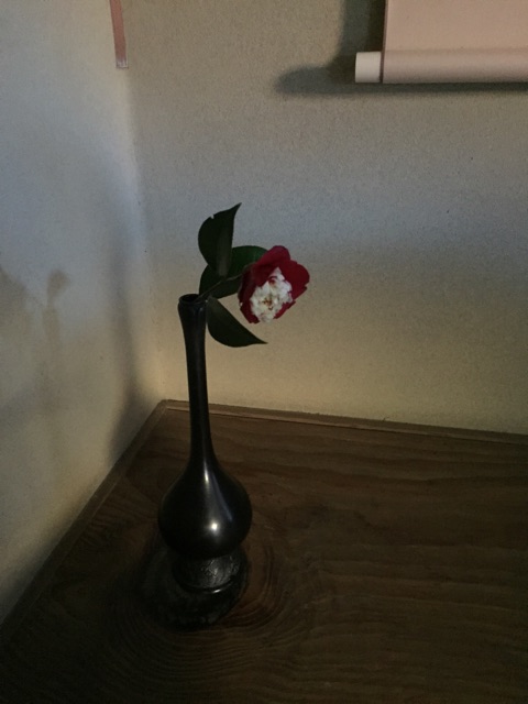 f:id:yumi-kuroda:20190211082346j:plain f:id:yumi-kuroda:20190211082346j:plain