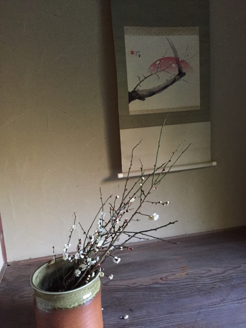 f:id:yumi-kuroda:20190211202947j:plain f:id:yumi-kuroda:20190211202947j:plain