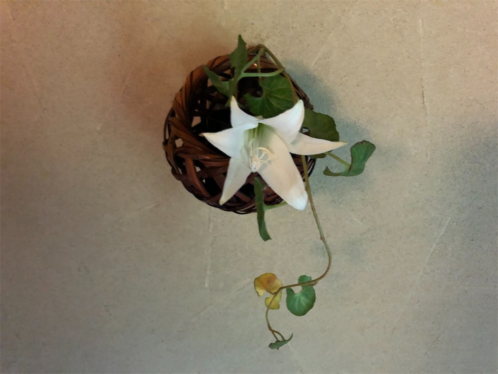 f:id:yumi-kuroda:20200814111958j:image f:id:yumi-kuroda:20200814111958j:image