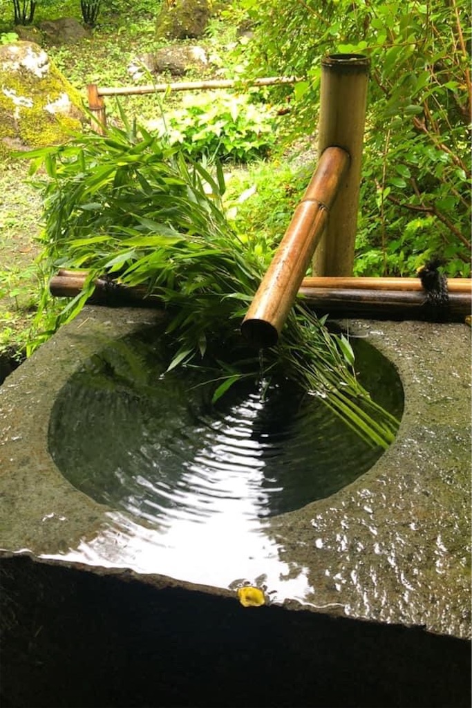 f:id:yumi-kuroda:20200814114439j:image f:id:yumi-kuroda:20200814114439j:image