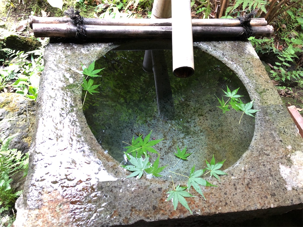 f:id:yumi-kuroda:20210102185657j:image f:id:yumi-kuroda:20210102185657j:image