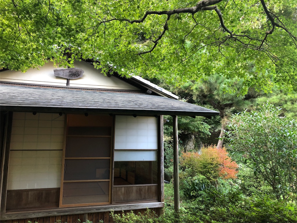 f:id:yumi-kuroda:20210102204432j:image f:id:yumi-kuroda:20210102204432j:image
