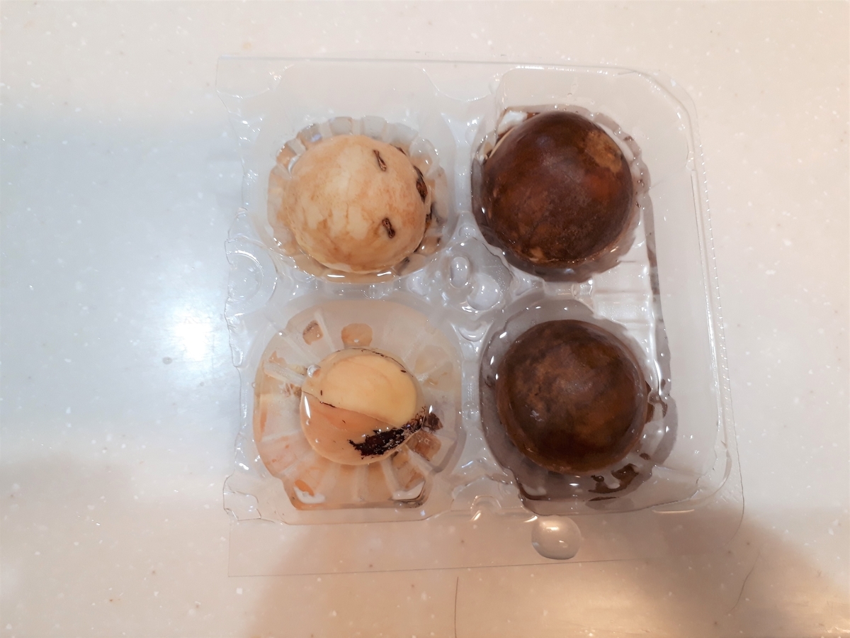 f:id:yumi20190518:20200821193640j:plain f:id:yumi20190518:20200821193640j:plain