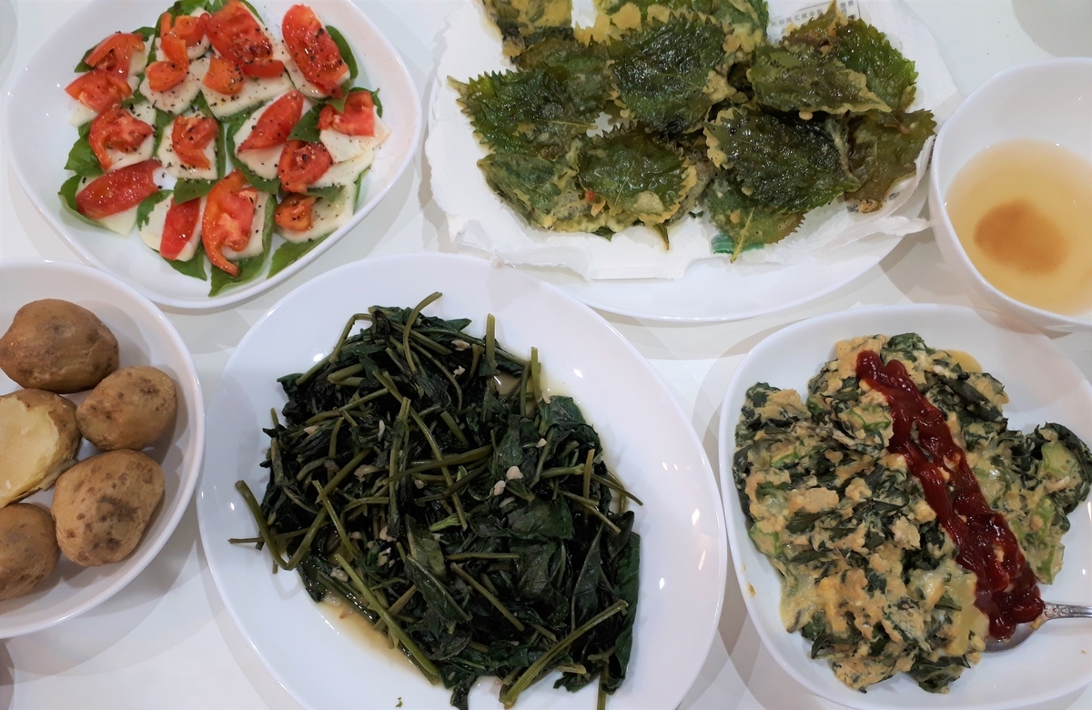 f:id:yumi20190518:20200827192122j:plain f:id:yumi20190518:20200827192122j:plain