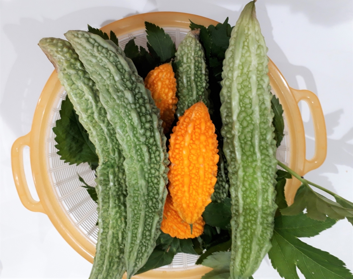 f:id:yumi20190518:20200927221632j:plain f:id:yumi20190518:20200927221632j:plain