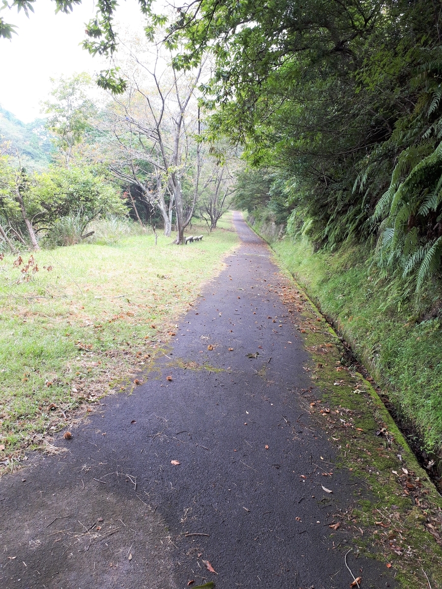 f:id:yumi20190518:20201004174359j:plain f:id:yumi20190518:20201004174359j:plain