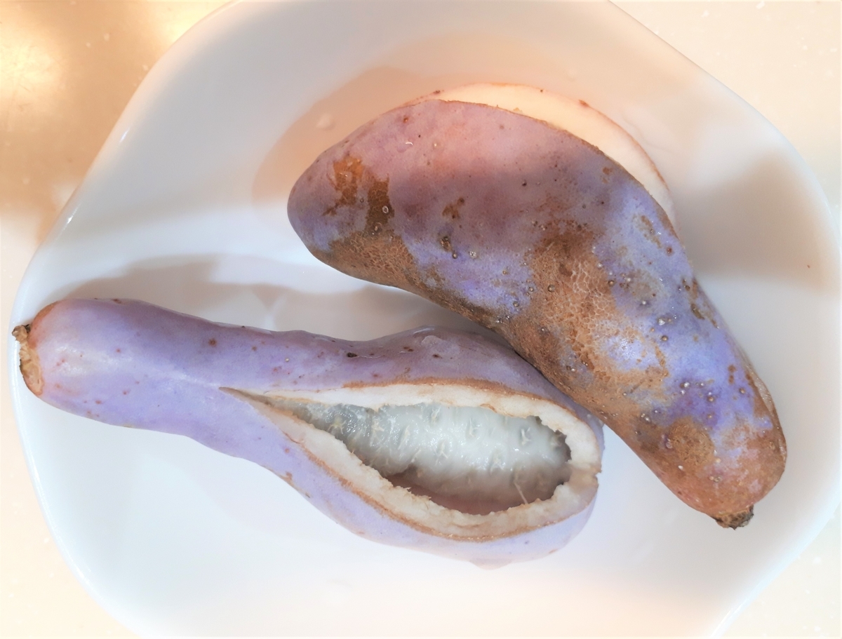 f:id:yumi20190518:20201011220545j:plain f:id:yumi20190518:20201011220545j:plain