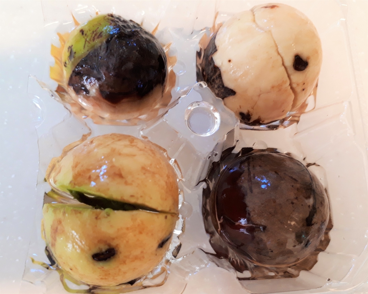 f:id:yumi20190518:20201014171019j:plain f:id:yumi20190518:20201014171019j:plain