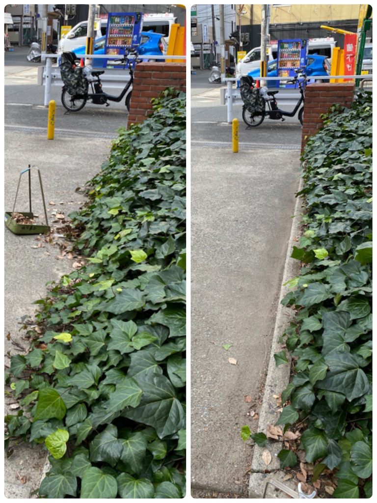 f:id:yumi458:20210228224854j:image