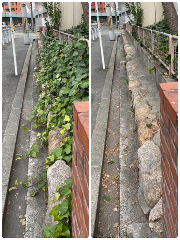 f:id:yumi458:20210228224858j:image