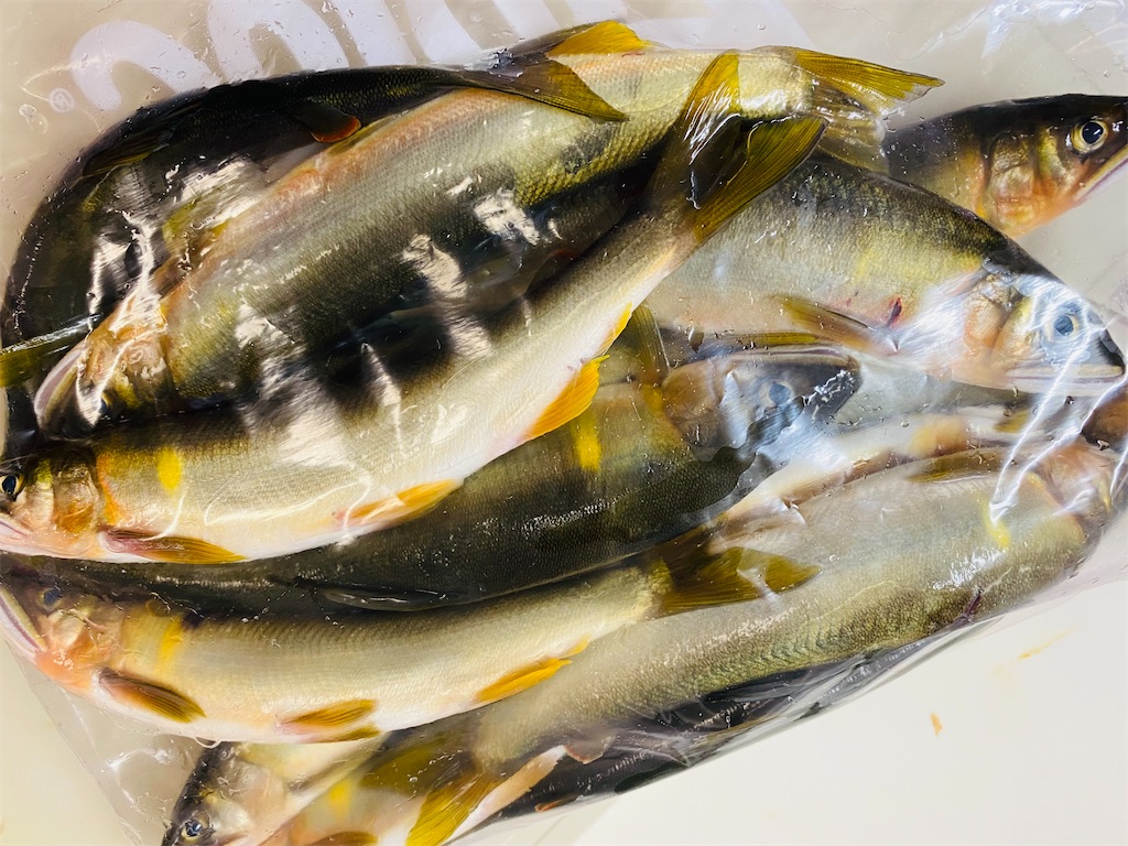 f:id:yumi458:20221009131647j:image f:id:yumi458:20221009131647j:image