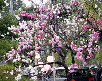 f:id:yumi930:20110411182355j:image f:id:yumi930:20110411182355j:image