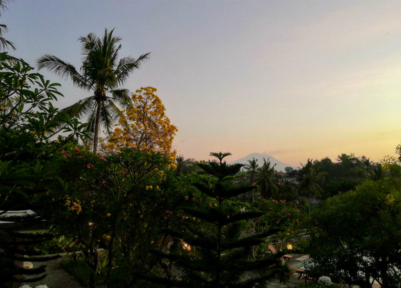 f:id:yumi930:20191210224125j:plain f:id:yumi930:20191210224125j:plain