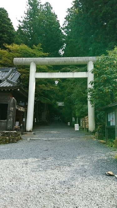 f:id:yumi98chan:20201029210740j:plain f:id:yumi98chan:20201029210740j:plain