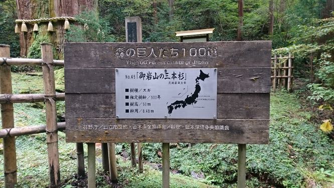 f:id:yumi98chan:20201029210914j:plain f:id:yumi98chan:20201029210914j:plain