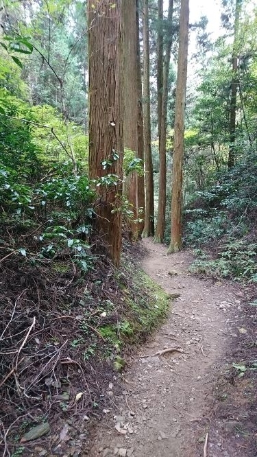f:id:yumi98chan:20201029211814j:plain f:id:yumi98chan:20201029211814j:plain