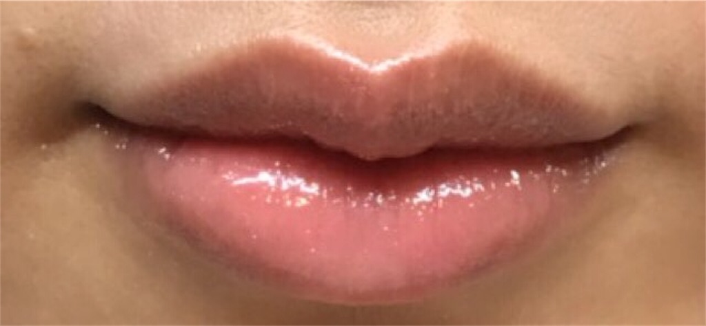 f:id:yumi_coco:20181206104125j:image