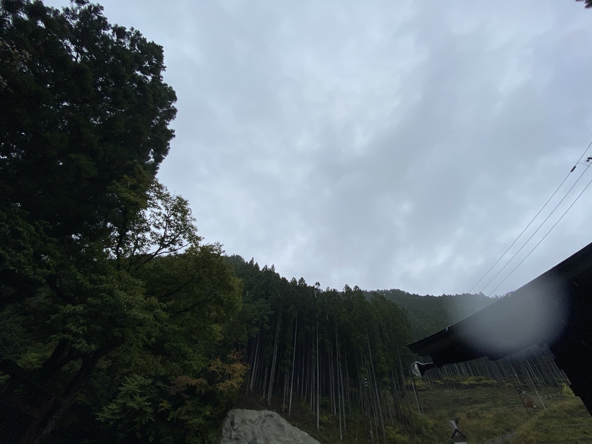 f:id:yumijg:20201205014451j:plain