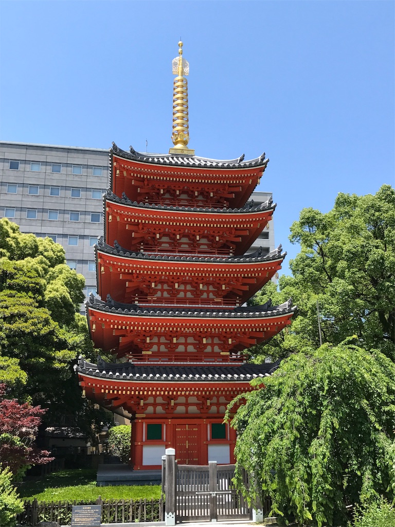 f:id:yumiko531:20170715125130j:image f:id:yumiko531:20170715125130j:image