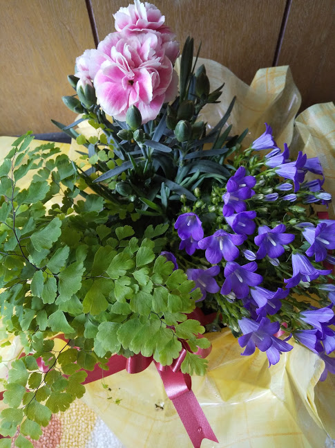 f:id:yumiko55:20210509145423j:plain