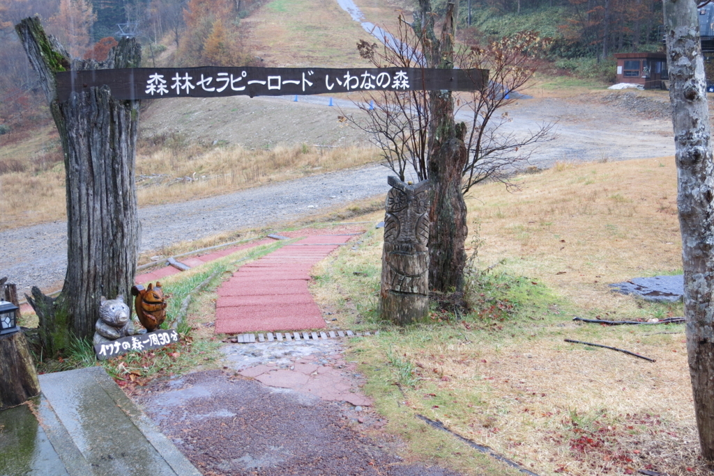 f:id:yumiko_sakai:20171123083637j:plain