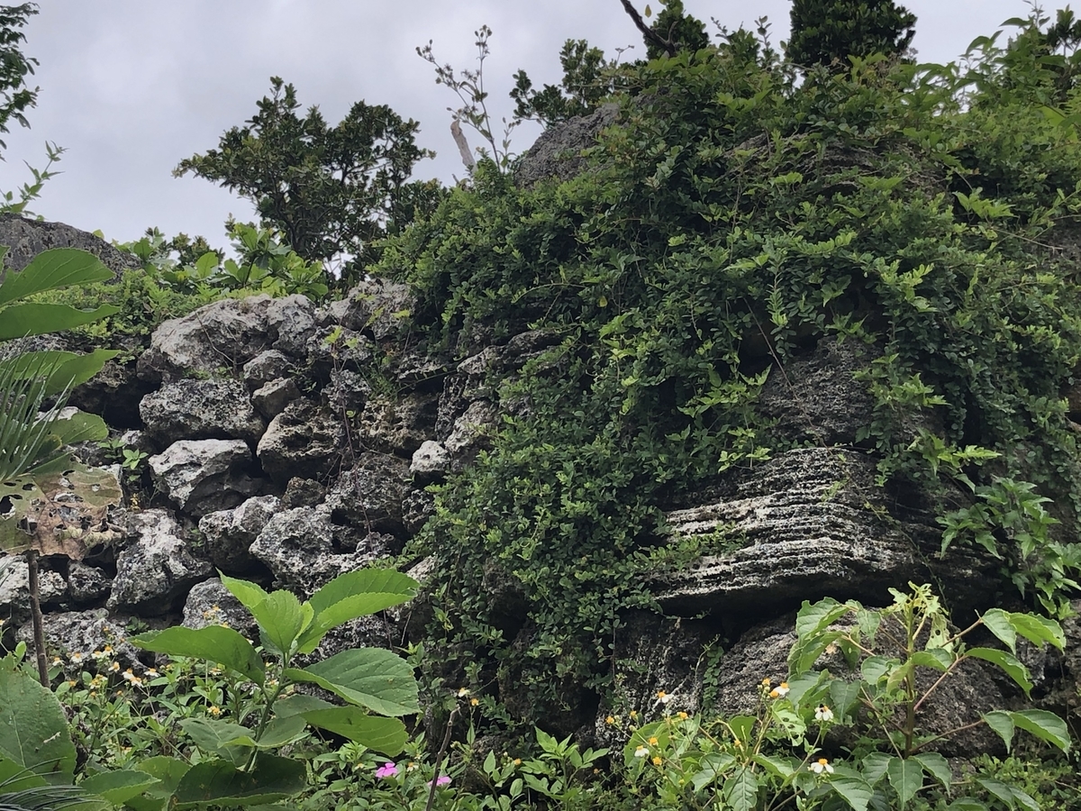 f:id:yumikopatakun:20190429100459j:plain f:id:yumikopatakun:20190429100459j:plain