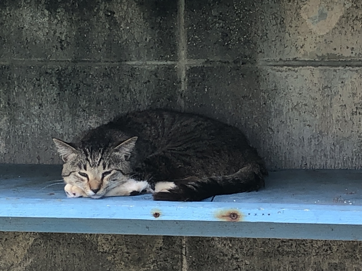 f:id:yumikopatakun:20190429101554j:plain f:id:yumikopatakun:20190429101554j:plain