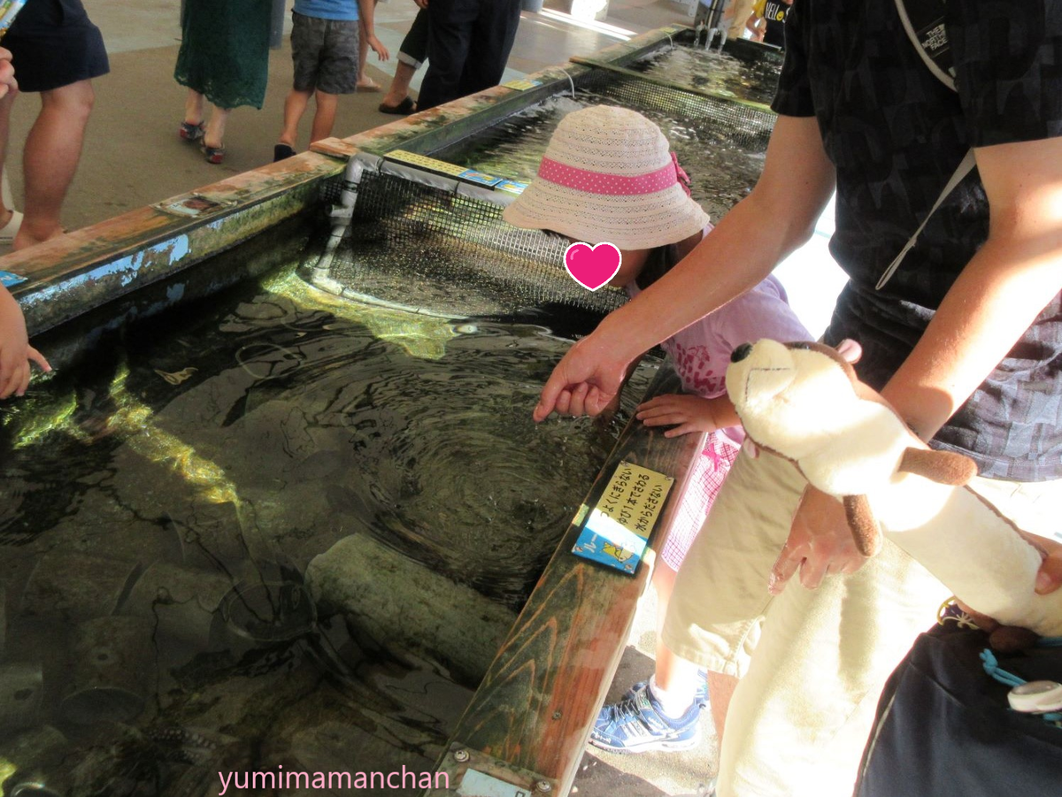 f:id:yumimamanchan:20220108190524p:plain