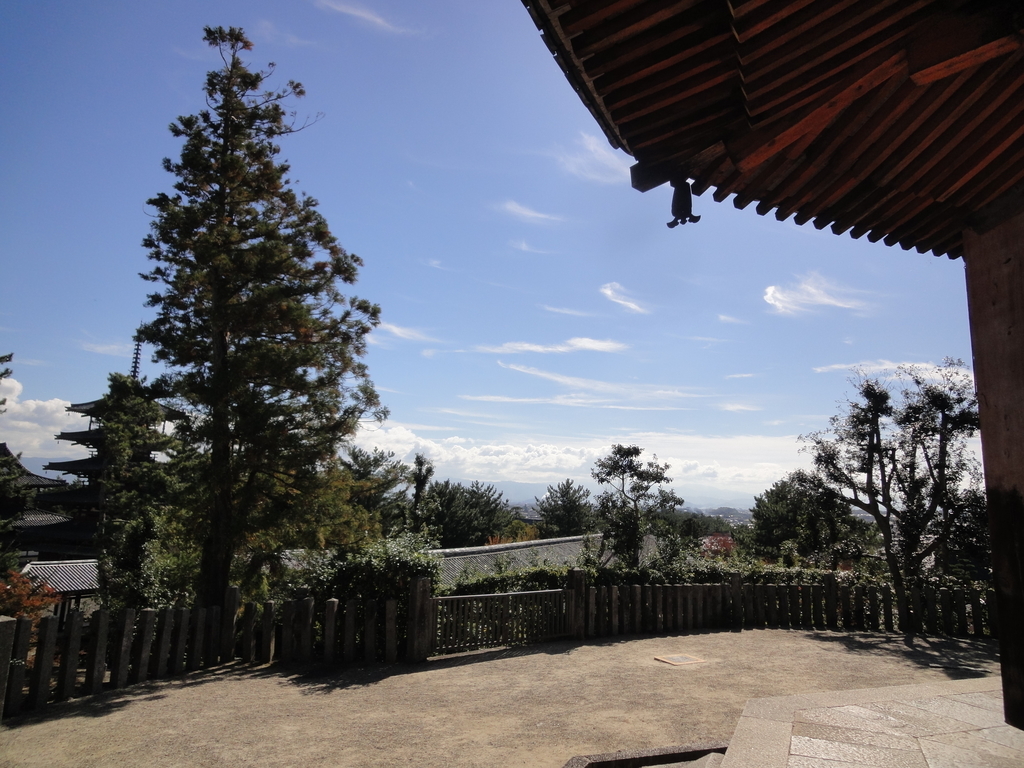 f:id:yumimi-kyoto:20181106151646j:plain f:id:yumimi-kyoto:20181106151646j:plain