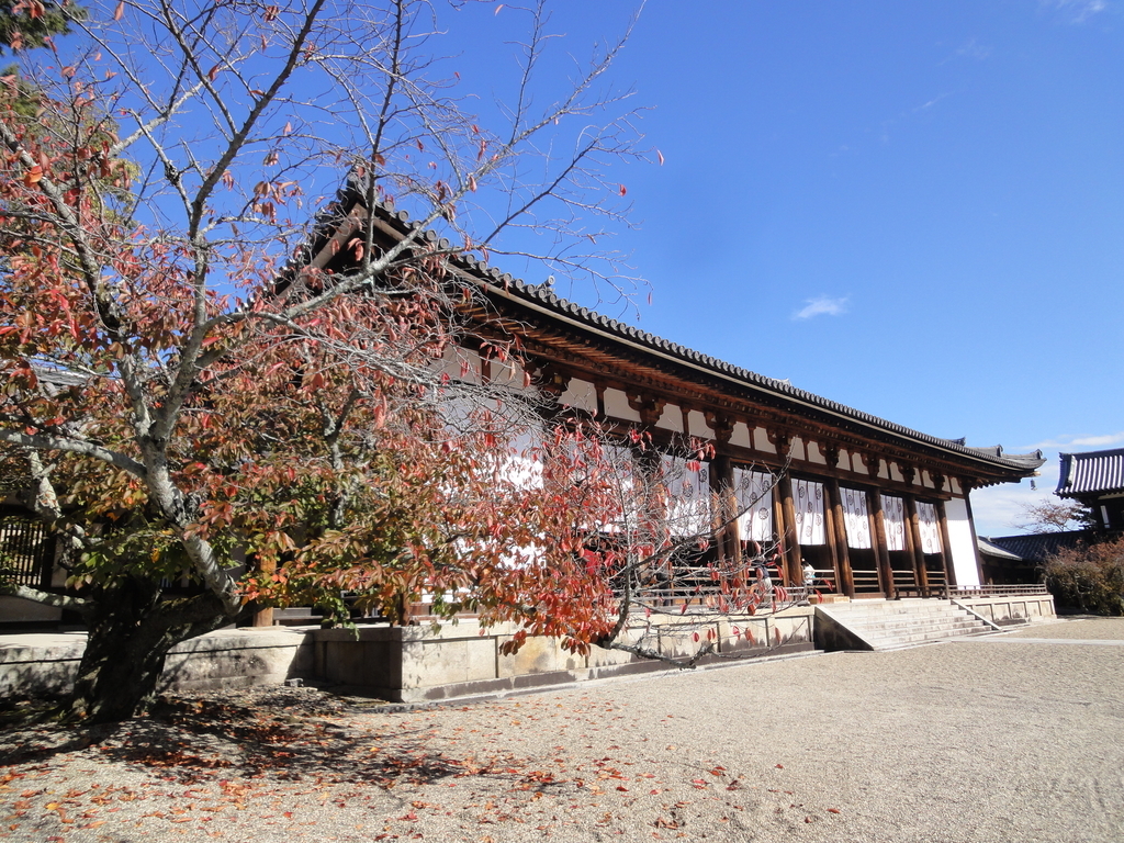 f:id:yumimi-kyoto:20181106153209j:plain f:id:yumimi-kyoto:20181106153209j:plain