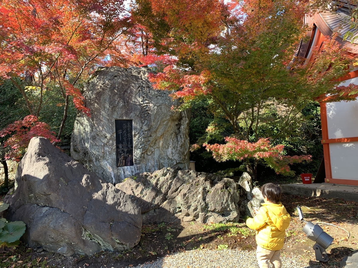 f:id:yumimi-kyoto:20191201145438j:plain f:id:yumimi-kyoto:20191201145438j:plain