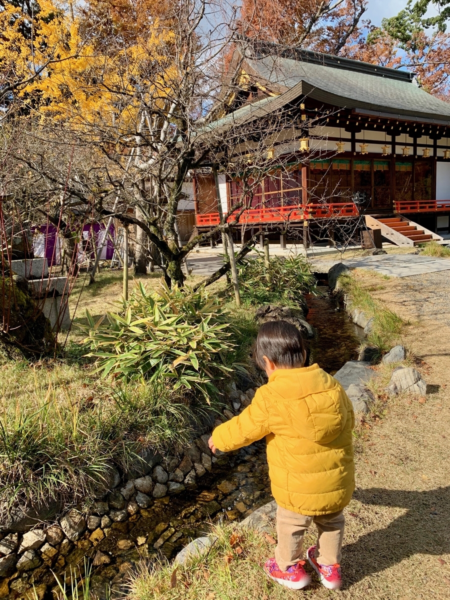 f:id:yumimi-kyoto:20191201150510j:plain f:id:yumimi-kyoto:20191201150510j:plain