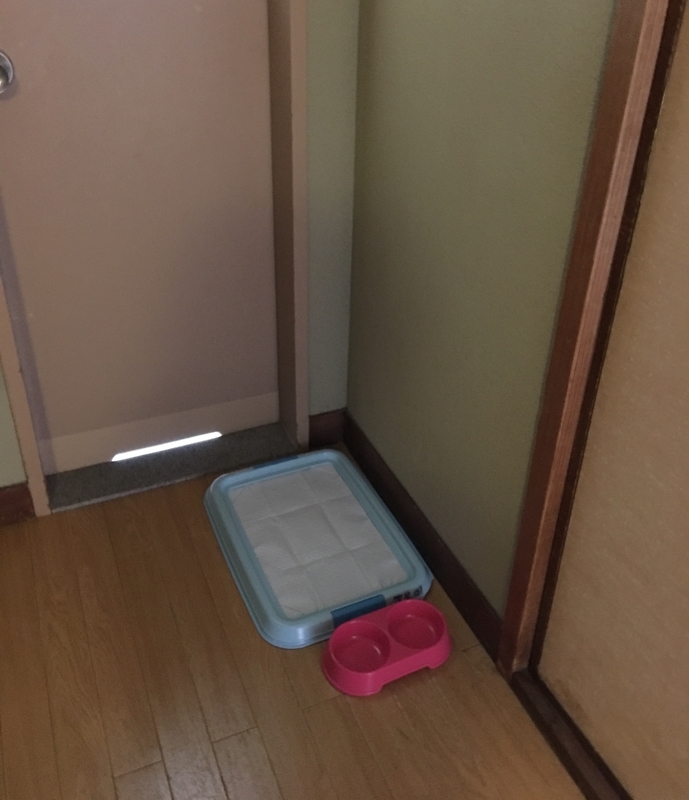 イメージ 4
