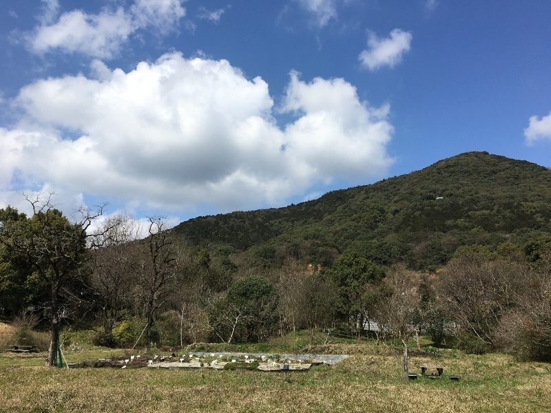 イメージ 5