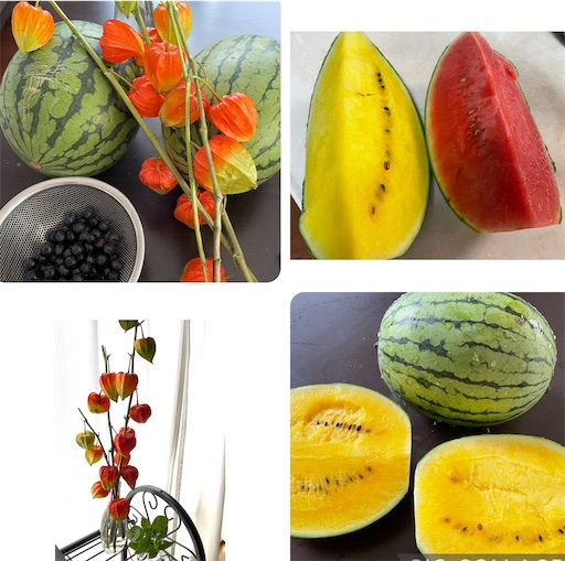 f:id:yumimiko:20250721211444j:image f:id:yumimiko:20250721211444j:image