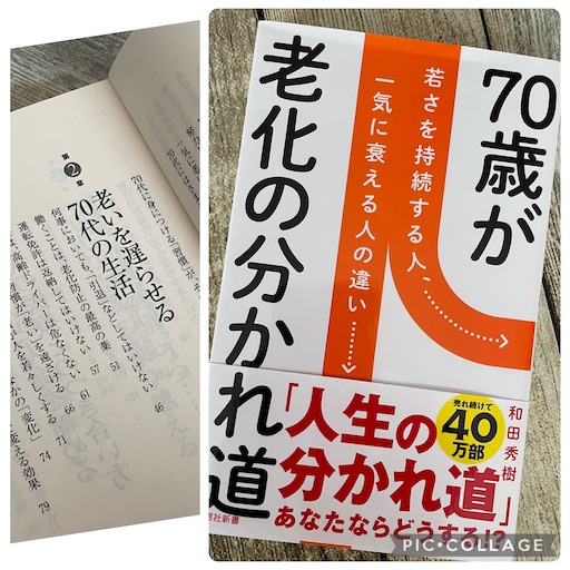 f:id:yumimiko:20250723115601j:image f:id:yumimiko:20250723115601j:image