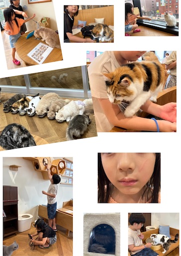 f:id:yumimiko:20250816075550j:image f:id:yumimiko:20250816075550j:image