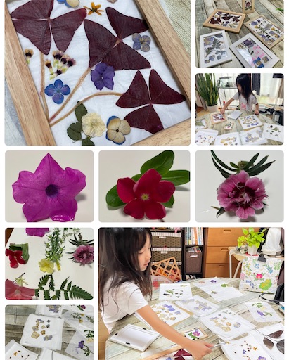 f:id:yumimiko:20250817091254j:image f:id:yumimiko:20250817091254j:image