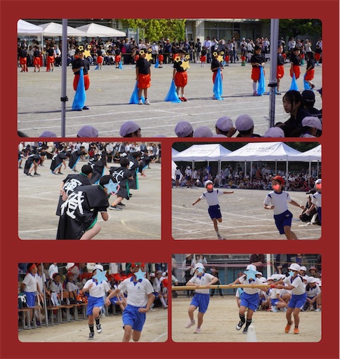 f:id:yumimiko:20251031163451j:image f:id:yumimiko:20251031163451j:image