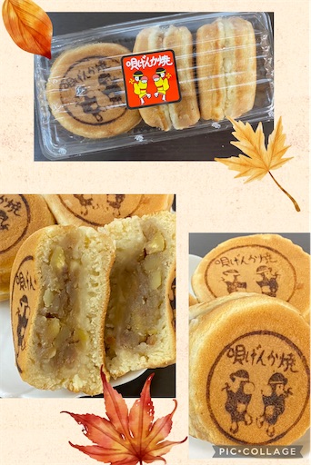 f:id:yumimiko:20251105144624j:image f:id:yumimiko:20251105144624j:image