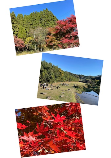 f:id:yumimiko:20251130140031j:image f:id:yumimiko:20251130140031j:image