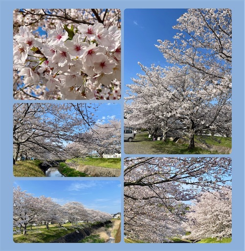 f:id:yumimiko:20260406085522j:image
