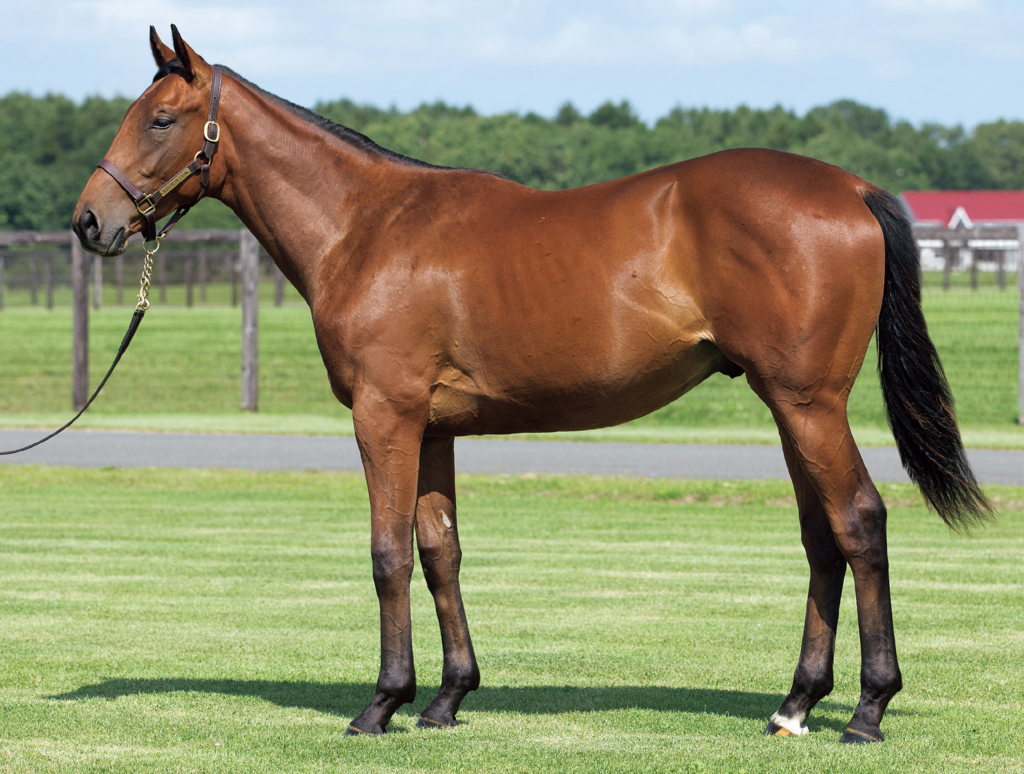 ブラストワンピースが強くて凹む ねむねむくんの一口馬主ブログ ブラストワンピースが強くて凹む ねむねむくんの一口馬主ブログ