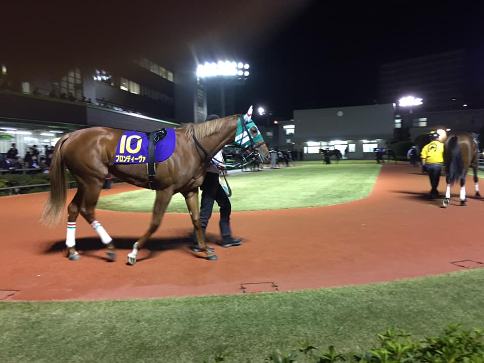 f:id:yuminemu:20191120102344j:plain f:id:yuminemu:20191120102344j:plain